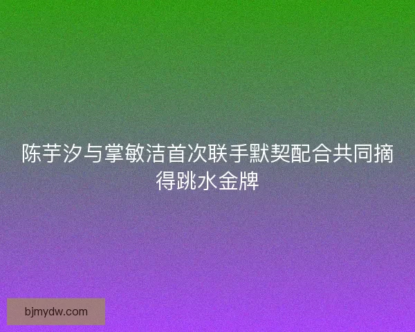 陈芋汐与掌敏洁首次联手默契配合共同摘得跳水金牌