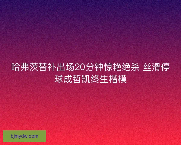 哈弗茨替补出场20分钟惊艳绝杀 丝滑停球成哲凯终生楷模